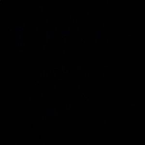 Meet your Posher, Terio